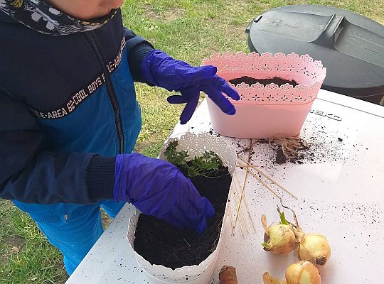 Gr III - tydzień 23.03 - 28.03  temat tygodniowy - "Witamy Wiosnę":