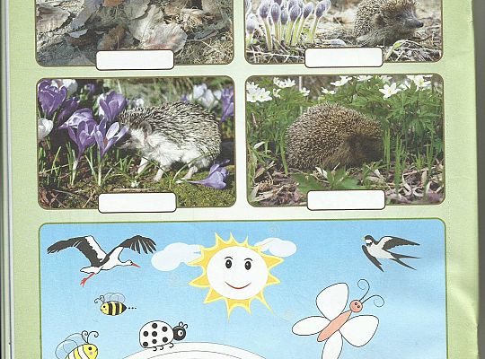 Gr III - tydzień 23.03 - 28.03  temat tygodniowy - "Witamy Wiosnę":