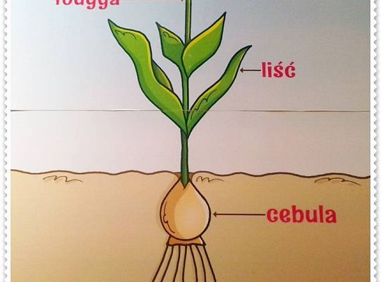 Gr III - tydzień 23.03 - 28.03  temat tygodniowy - "Witamy Wiosnę":