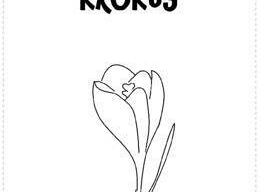 Gr III - tydzień 23.03 - 28.03  temat tygodniowy - "Witamy Wiosnę":