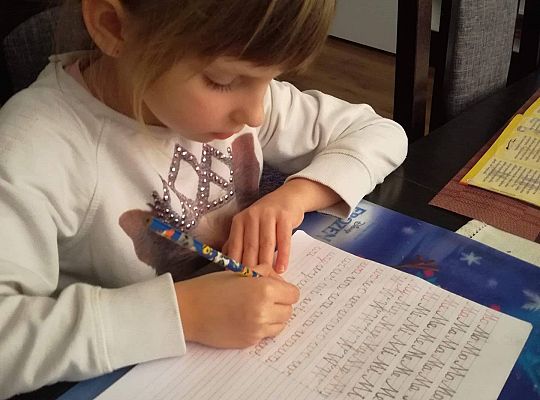 GR IV Fotorelacja - "Powroty ptaków"