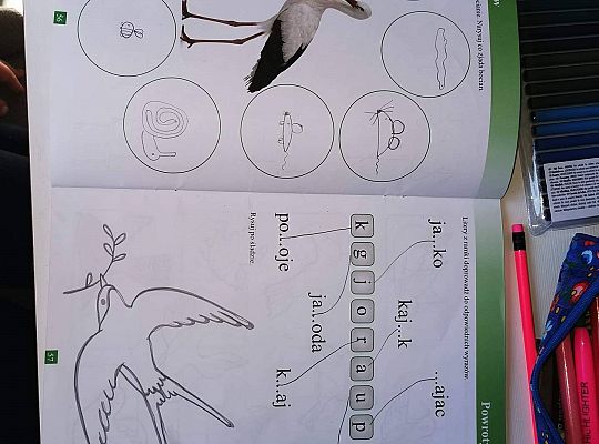 GR IV Fotorelacja - "Powroty ptaków"