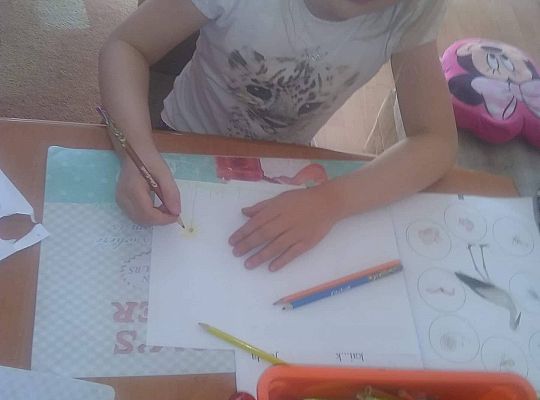 GR IV Fotorelacja - "Powroty ptaków"