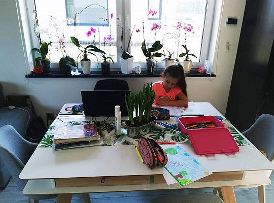 GR IV Fotorelacja - "Powroty ptaków"