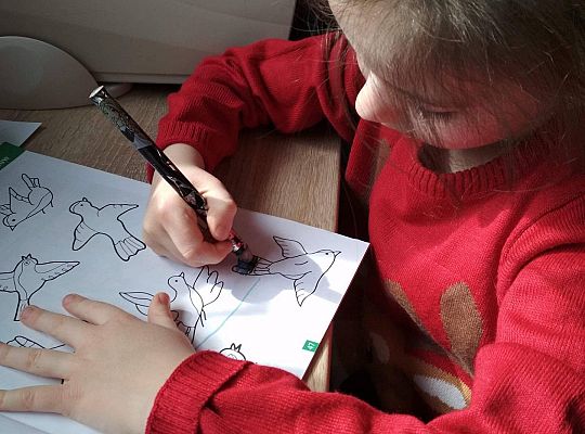 GR IV Fotorelacja - "Powroty ptaków"