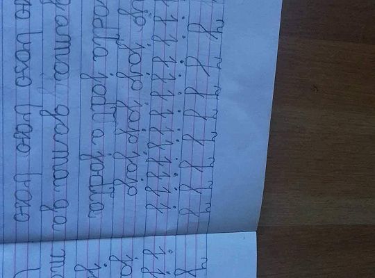 GR IV Fotorelacja - "Powroty ptaków"