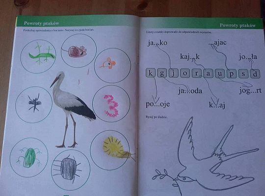 GR IV Fotorelacja - "Powroty ptaków"