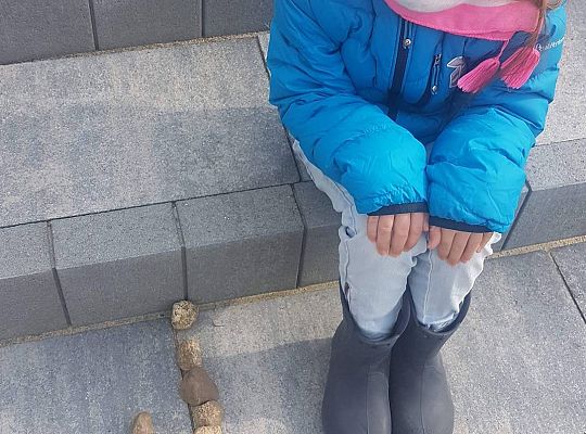 GR IV Fotorelacja - "Powroty ptaków"