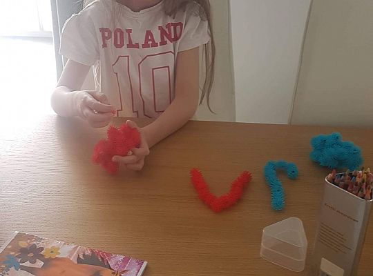 GR IV Fotorelacja - "Powroty ptaków"