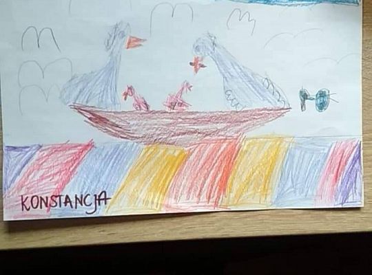 GR IV Fotorelacja - "Powroty ptaków"