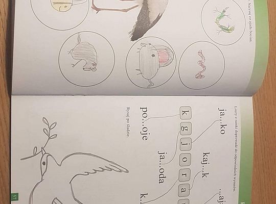 GR IV Fotorelacja - "Powroty ptaków"