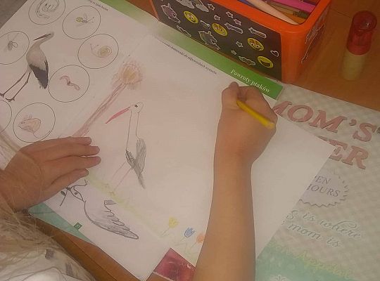 GR IV Fotorelacja - "Powroty ptaków"