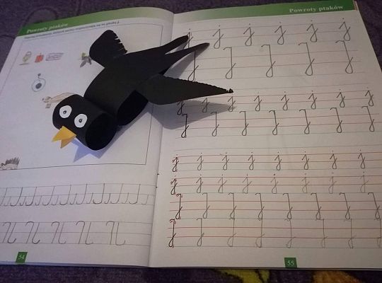 GR IV Fotorelacja - "Powroty ptaków"