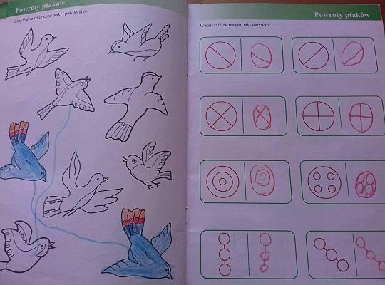 GR IV Fotorelacja - "Powroty ptaków"