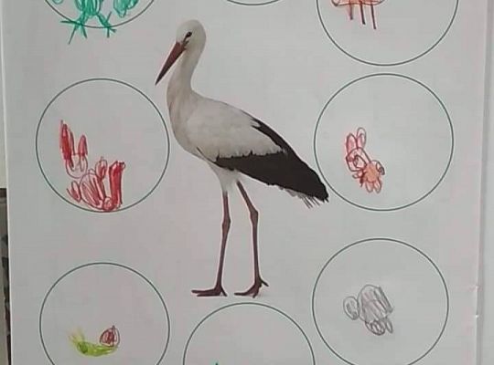 GR IV Fotorelacja - "Powroty ptaków"