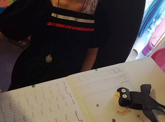 GR IV Fotorelacja - "Powroty ptaków"