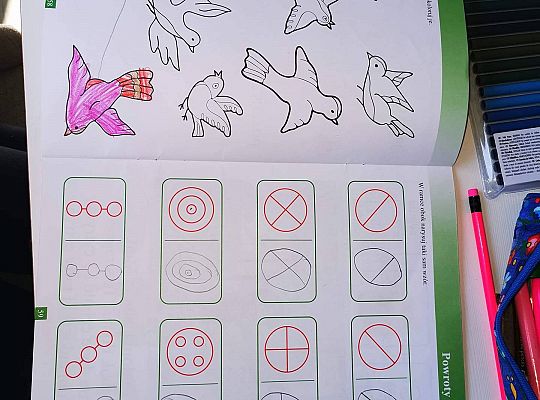 GR IV Fotorelacja - "Powroty ptaków"