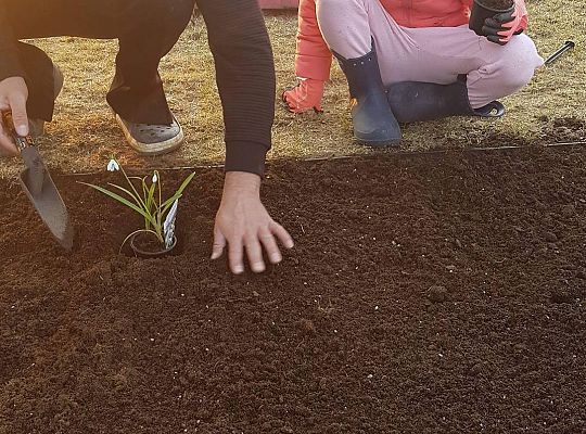 GR IV Fotorelacja - "Powroty ptaków"