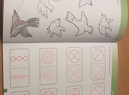 GR IV Fotorelacja - "Powroty ptaków"