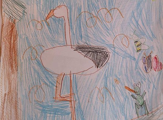 GR IV Fotorelacja - "Powroty ptaków"