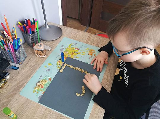 GR IV Fotorelacja - "Powroty ptaków"