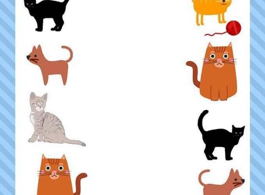 Rodzinne zadania do wspólnego wykonania