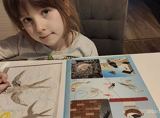 GR III tydzień 30.03-03.04 Temat tygodnia - Powrót ptaków