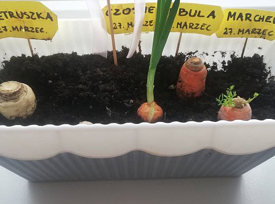 GR III tydzień 30.03-03.04 Temat tygodnia - Powrót ptaków