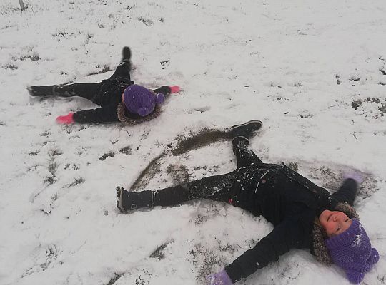 GR III tydzień 30.03-03.04 Temat tygodnia - Powrót ptaków