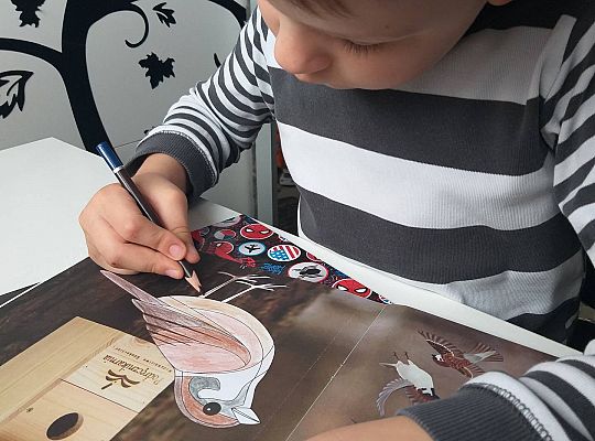 GR III tydzień 30.03-03.04 Temat tygodnia - Powrót ptaków