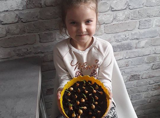 GR III tydzień 30.03-03.04 Temat tygodnia - Powrót ptaków