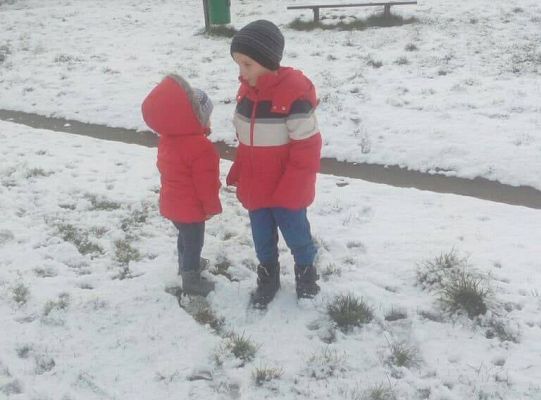 GR III tydzień 30.03-03.04 Temat tygodnia - Powrót ptaków