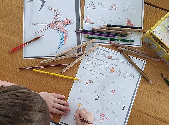 GR III tydzień 30.03-03.04 Temat tygodnia - Powrót ptaków