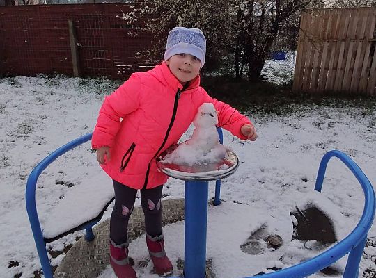 GR III tydzień 30.03-03.04 Temat tygodnia - Powrót ptaków