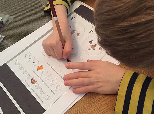 GR III tydzień 30.03-03.04 Temat tygodnia - Powrót ptaków