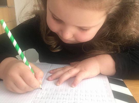 GR III tydzień 30.03-03.04 Temat tygodnia - Powrót ptaków