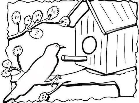 GR III tydzień 30.03-03.04 Temat tygodnia - Powrót ptaków