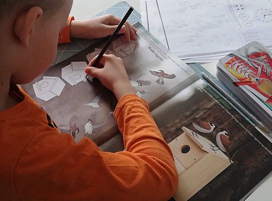 GR III tydzień 30.03-03.04 Temat tygodnia - Powrót ptaków