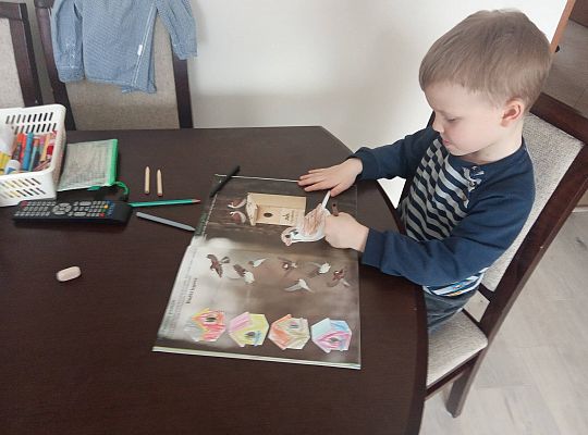 GR III tydzień 30.03-03.04 Temat tygodnia - Powrót ptaków