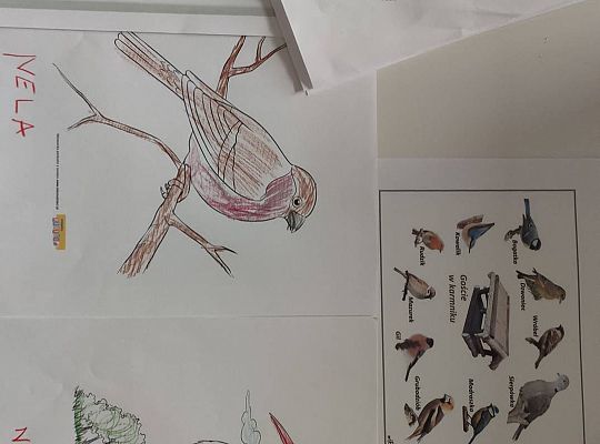 GR III tydzień 30.03-03.04 Temat tygodnia - Powrót ptaków