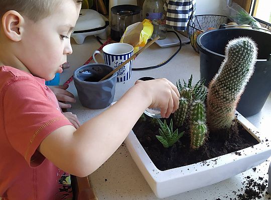 GR III tydzień 30.03-03.04 Temat tygodnia - Powrót ptaków