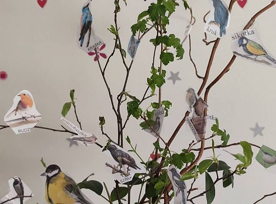 GR III tydzień 30.03-03.04 Temat tygodnia - Powrót ptaków