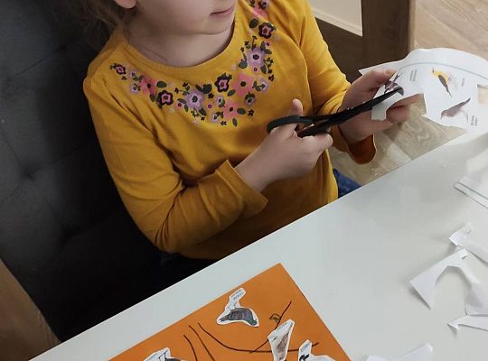 GR III tydzień 30.03-03.04 Temat tygodnia - Powrót ptaków