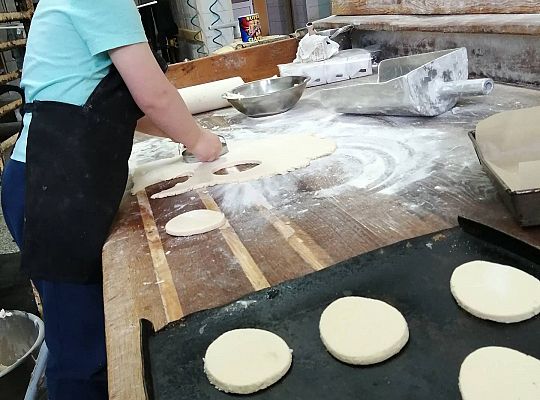 GR III tydzień 30.03-03.04 Temat tygodnia - Powrót ptaków