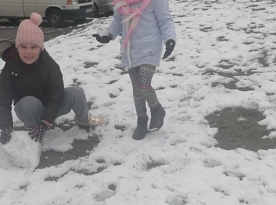 GR III tydzień 30.03-03.04 Temat tygodnia - Powrót ptaków