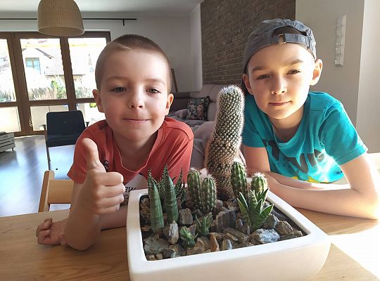 GR III tydzień 30.03-03.04 Temat tygodnia - Powrót ptaków