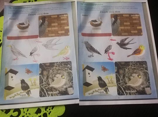 GR III tydzień 30.03-03.04 Temat tygodnia - Powrót ptaków