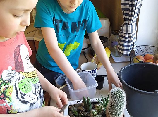 GR III tydzień 30.03-03.04 Temat tygodnia - Powrót ptaków