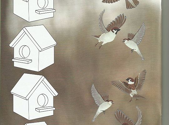 GR III tydzień 30.03-03.04 Temat tygodnia - Powrót ptaków