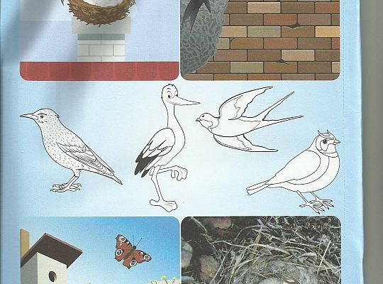 GR III tydzień 30.03-03.04 Temat tygodnia - Powrót ptaków